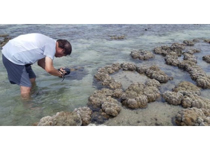 2019–08-02 巴蜀海水大幅下降 珊瑚群暴露